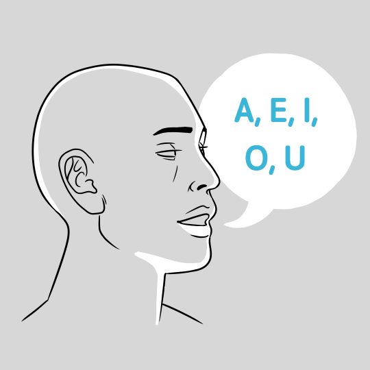 Exercise 1: Pronounce Vowel Sounds Exercise 1: Pronounce Vowel Sounds