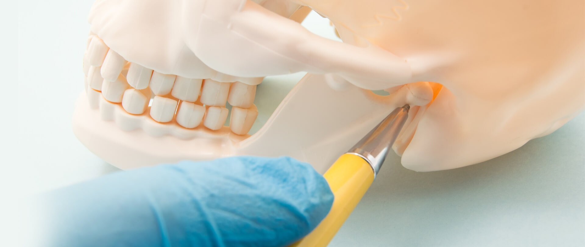 temporomandibular joint anatomy